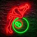 Green&Red Neon Sign Led Neon Lights Signs for Wall Decor USB Powered Led Signs for Room Decoration-Billiard Lady