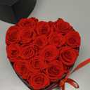 Preserved Roses Heart Shape Box Valentines Day Gifts for Her Mothers Day Forever Flowers (Red, 16 Roses)