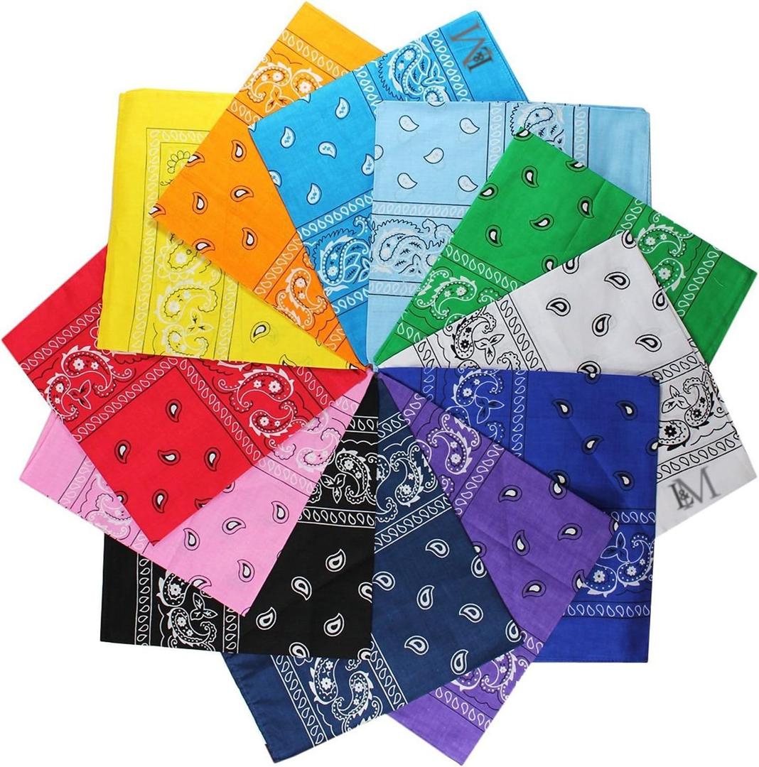 L&M 12Pcs Bandanas 100% Cotton Paisley Print Head Wrap Scarf Wristband (Multicolor, 22 x 22 inches)