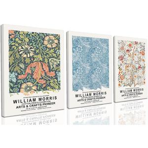 William Morris Wall Art Set of 3 Vintage Botanical Wall Decor Nature Flower Exhibition Posters Retro Plant Canvas Prints Paintings for Living Room Bedroom Kitchen 16x24 Inch Framed (Light)
