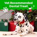 Greenies Teenie Natural Dental Dog Treats, Gingerbread Flavor, 22 Count (EXP 01/27/29)