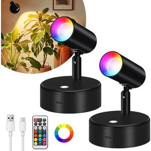 Lightess Wireless Spotlight Indoor, 5500mAh Rechargeable Uplights with Remote, 13 Color Changing LED Spot Lights Indoor, Dimmable Battery Operated Picture Lights for Plant Party Decor, 2 Pack