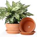 INGOFIN 8 Inch Terracotta Shallow Pots Set with Saucer - Ceramic Clay Pots with Drainage Hole, Terra Cotta Pot for Plants for Indoor Outdoor Plants, Set of 2, Shallow 8/8 inch -2 pcs