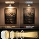 Picture Lights for Wall, 2000mAh Rechargeable Magnetic Art Lights with 3 Color Temps & RGB, Remote Dimmable Battery Operated Wall Light for Bedroom, Living Room, Gallery (White, 6 Pack)