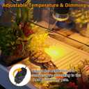 Reptile Heat Lamp with 2 Pcs 50W UVA UVB Light Bulb, 360 Rotatable Basking Spot Light Simulated Sunlight, Dimmable Heating Lamp for Turtle, Lizard, Snake, Beared Dragon, Amphibians