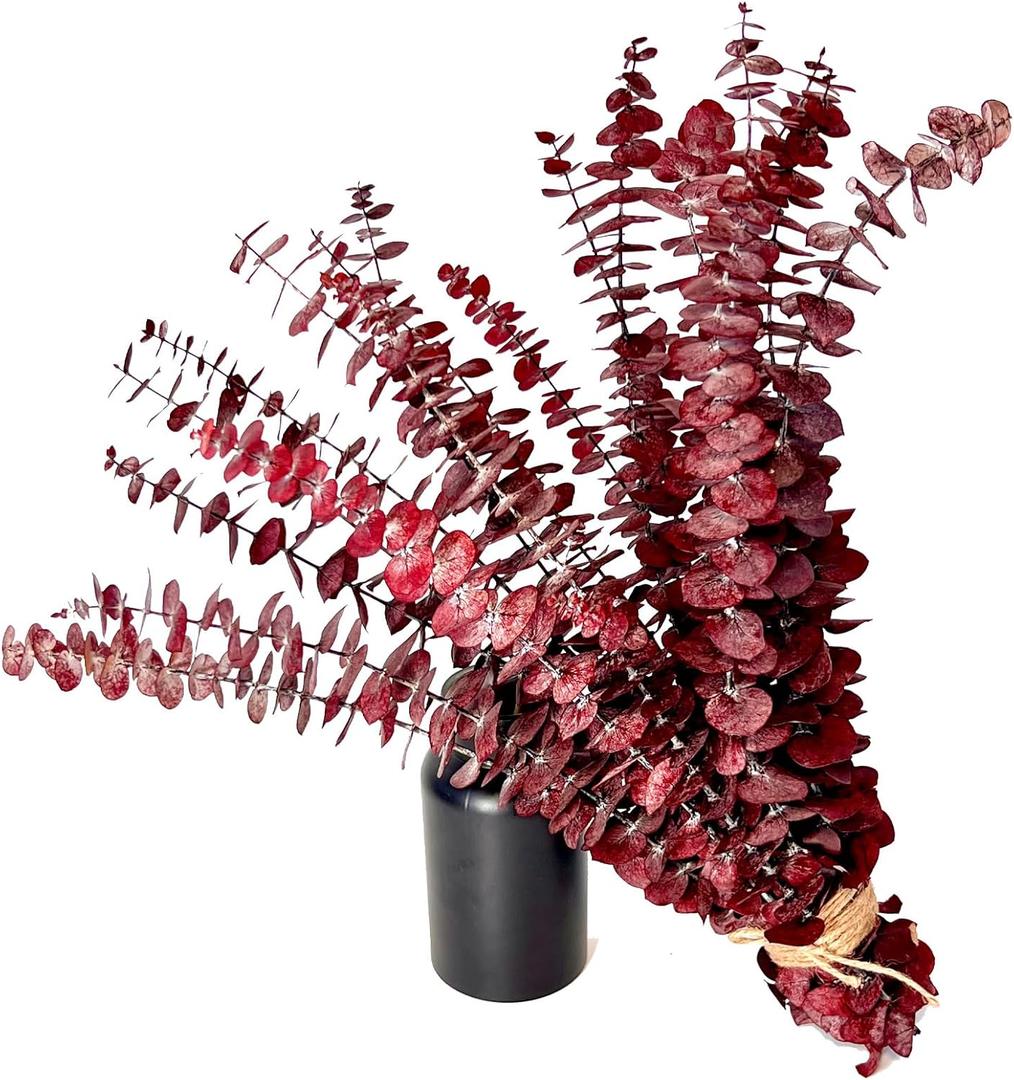 (20Pcs) Dried Eucalyptus Stems - Red, Fall Decorations for Home, Real Long Eucalyptus, Dried Flowers for Vase, 17" Floral Arrangement, Wedding