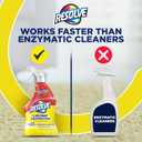 Resolve Urine Destroyer Spray  Pet Stain and Odor Remover, Carpet Cleaner Solution for Cat and Dog Urine, 32 Fl Oz