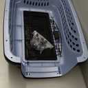 Petmate Dog Crates for Small Dogs & Cat Carriers, Two-Door Plastic Pet Kennel, Top & Front Loading, Made in USA, 24", Blue (24.1"L x 16.8"W x 14.5"H)