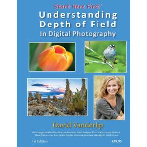 Understanding Depth of Field In Digital Photography, by David Vanderlip (Author) Format: Paperback, Book