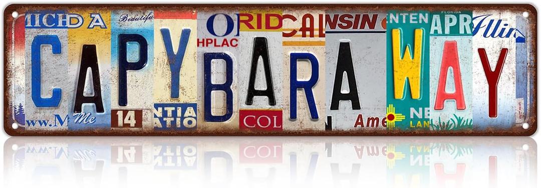 Vintage Capybara Way Decor Street Signs Metal Tin Signs 16 x 4 Inches