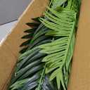Suntee 5ft Artificial Palm Tree, 2 Pack Artificial Plants Indoor for Office Living Room, Tall Fake Trees Tropical Areca Floor Plant, Large Fake Plants Porch Garden Patio Decor