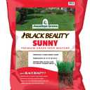 Jonathan Green (10870) Black Beauty Sunny Grass Seed - Cool Season Lawn Seed (25 lb)