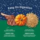 Natural Balance Health Protection Dry Dog Food  Whole Body Health, Easy on Digestion Dog Food Made with Lamb, Brown Rice & Pumpkin for Dogs - 4lbs. (EXP 03/17/27)