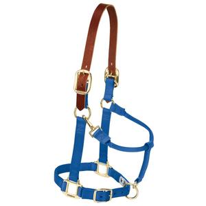 Weaver Leather Nylon Adjustable Breakaway Horse Halter, Large, Blue