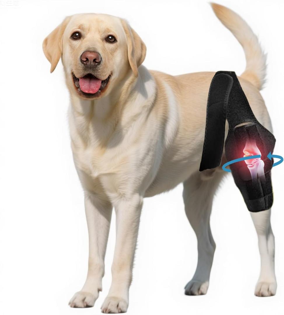Dog Knee Brace for Torn Acl Hind Leg - Adjustable Stabilizing Support for Ccl Injury, Luxating Patella, Hind Leg Pain & Arthritis - Rear Leg Limp Support, One Size