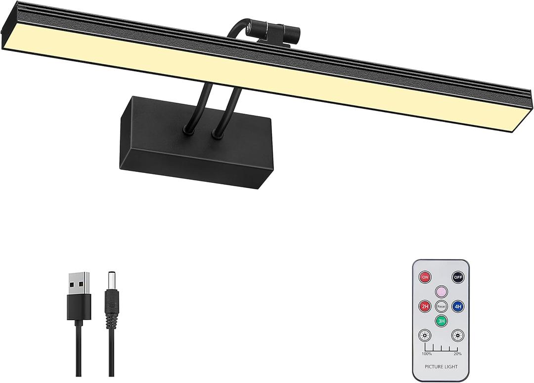 FUNCHDAY Picture Light,3CCT Battery Art Lights for Wall,Wireless Remote Painting Light with Timer and Dimmable,16Metal Display Lighting for Artwork,Portrait,Gallery (Black-L)