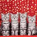 3 x Christmas Cat Collar Breakaway with Bells, Xmas Patterns Kitten Collar with Qr Code Cat Tag Christmas Checkered (1Pack)