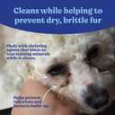 Angel's Eyes Gentle Tear Stain Wipes for Dogs and Cats - 100 Ct - Presoaked Textured (AEGTSW100) (XXXL)