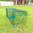 26" Folding Collapsible Humane Live Animal Cage Trap No-Kill Trapping Kit for Humane Catch Release Rabbits, Stray Cat, Squirrel, Raccoon, All Fit Sized Animals, Heavy Duty, 2-Door Hidden Green