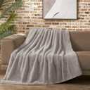 Lucky Brand Solid Rabbit Mink Faux Fur Throw Blanket, Grey Plush Faux Fur Blanket for Sofa or Bed, 50"x70", Light Gray