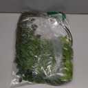 Melorca & Guilla Artificial Plants, 2PCS 43.3" Green Nandina Faux Branches for Vase, Artificial Plants for Shop Garden Office Home Decor