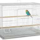 A&E Cage Co 503 White SP Flight Bird Cage 24" x 16" x 16" Small Bird Cage for Finches, Canaries & Parakeets Includes 2 Feeder Stations, Wood Perch, Slide-Out Tray & Carry Handle (White)