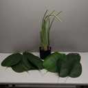 Worth Garden Artificial Bird of Paradise Plant 3.8ft, Faux Tropical Tree for Home and Office Dcor, 45in Lifelike Greenery for Indoor and Outdoor Use
