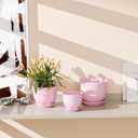 Pink Ceramic Flower Pots,Indoor Decorative Plant Pots Set of 3-4"+5"+6" Inch Small Glazed Succulent Planters with Drainage Hole,Modern Garden Pots with Saucer