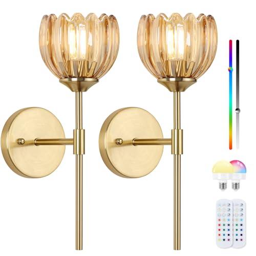 Rnzziw Vintage Battery Operated Wall Sconce Set of Two,Rechargeable Wall Lights with RGB Dimmable Detachable Bulbs and Remote,12 Colors Wireless Wall Lamps for Bedroom Living Room Hallway (Amber)