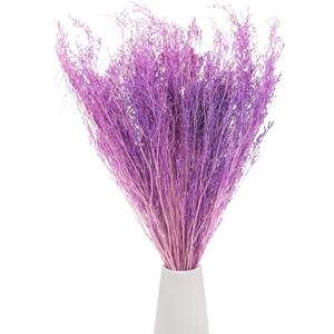 Dried Flowers Bouquet 17" Dry Limonium Flower Bundle for Home Decor/Flower Arrangement Caspia Dried Baby's Breath Flowers Bundle Natural Table Vase Decoration [Purple, 120g]