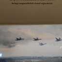 Vintage Flying Duck Canvas Wall Art Rustic Country Scenery Wall Decor Retro Mallard Duck Pictures Paintings Nature Wilderness Wildlife Posters Prints Living Room Bedroom Farmhouse Decor 12x16 Inch