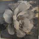 Art Remedy Ivory Incarnation II Canvas Luxe Flower Art, Gold Frame, 40 x 40