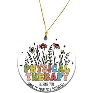Physical Therapist Christmas Ornament - Physical Therapy Appreciation Week Gifts Bulk for Women Men, Thank You Gift for PT Assistant PTA Staffs Employees (Mr04)