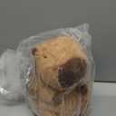 Heatable & Coolable Capybara Plush, Microwavable Stuffed Animal Heating Pad for Soothing & Relaxation, Lavender Scent Plush Toys for Stress Relief, Capybara Plushies Gift for Kids & Adults