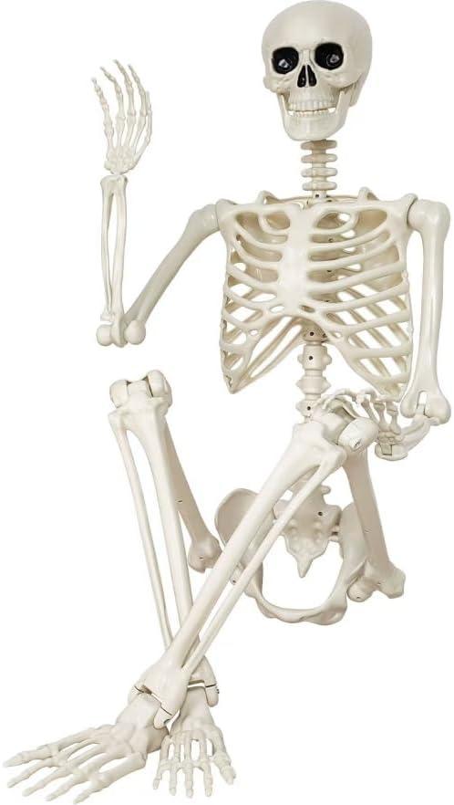 Halloween Skeleton Decorations,36" Posable Human Skeleton Decorations for Halloween Party Decor, Haunted House Props Indoor Outdoor Decoration