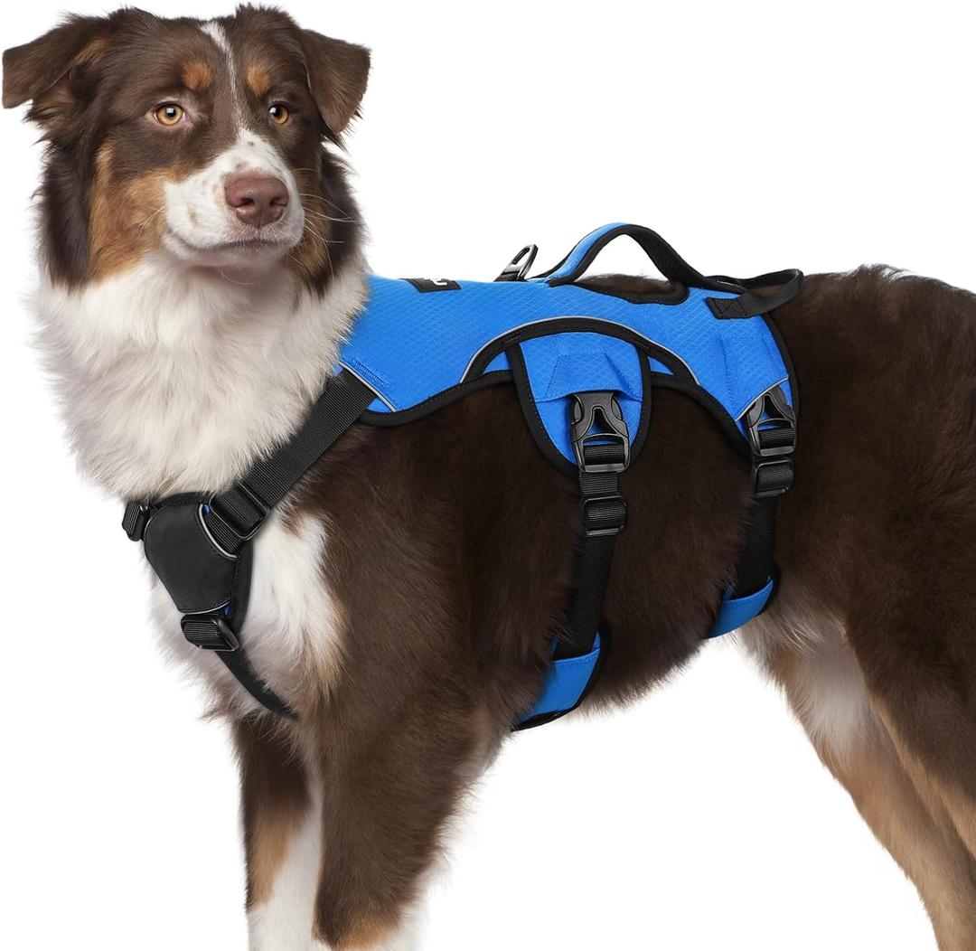 rabbitgoo Escape Proof Dog Harness, Soft Padded Full Body Pet Harness, Reflective Adjustable No Pull Vest with Lift Handle and Leash Clip for Large Dogs Walking Hiking Training, M, Blue (Medium (Pack of 1))