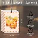 Aperol Spritz Car Air Freshener 4 Pcs, Watercolor Cocktail Scented Hanging Decor for Women Adults, Vehicles Home Bar, Trendy Drink-Themed Mirror Accessory Gift