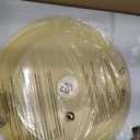 Brass Flush Mount Ceiling Light Mid Century Modern Ceiling Light fixtures Brushed Gold Milk Yellow Glass Semi Flush Mount Ceiling Light Farmhouse Hallway Dining Room Ceiling Lamp