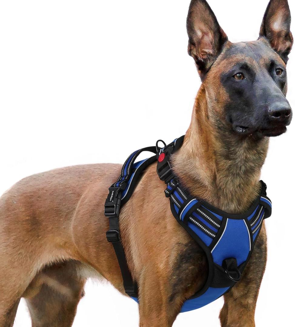 Rabbitgoo Dog Harness for Large, No Pull Pet Harness with 3 Buckles, Adjustable Soft Padded Vest with Control Handle, Walking Reflective Pet Vest for Extra Large Dogs, Blue, XL