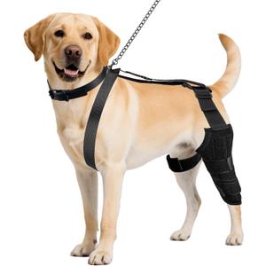 Dog Knee Brace for Back Leg, Adjustable Dog Leg Brace for Torn ACL Hind Leg Support, Joint Stability, Injury Recovery, Pain Relief, Dogs Rear Leg Wrap Harness Set with Collar and Leash (Large)
