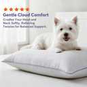 Dreamara Pillows Queen Size Set of 2 - Hotel Collection Bed Pillows with Down Alternative Fill, Soft & Supportive for Side, Stomach & Back Sleepers, Fully Machine Washable & Adjustable Loft Design