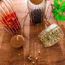 Glass Jar Set of 3 - Airtight Sealed Cork Lids, Round Bottles for Coffee Beans, Nut Storage, Canisters with Wooden Cork & Ball Lids, Glass Containers