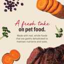 The Honest Kitchen Human Grade Wholemade Dehydrated Dog Food, Grain Free Dog Food, Beef, 4 lb (makes 16lbs) (EXP 06/05/26)