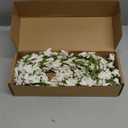 Canlierr 1 Pack 71 Inch Artificial Forsythia Branches Faux Flower Vine Garland Forsythia Flower Wreath Hanging Floral DIY Decoration for Front Door Home Indoor Valentine's Day Wedding Decor (White)