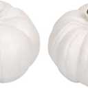 Elanze Designs Classic White 6 inch Resin Harvest Decorative Pumpkins Pack of 2