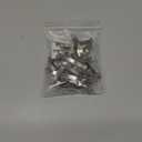 30pcs Window Screen Spring Plunger Pins Clips Springs for Windows Window Screen Secure Clips