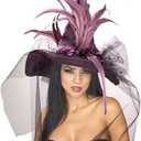 Rubies Costume Co. Women's Witch Hat with Feathers and Veil Costume