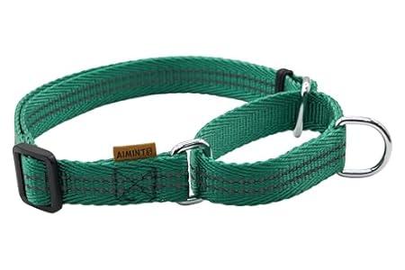 Aiminto Adjustable Nylon Reflective Martingale Dog Collar for Training and Walking (Green, XS (Neck: 10"-14", Width: 3/ 8"))