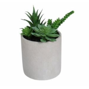 HD Deisigns Faux Succulent Greenery - 6-inch pot