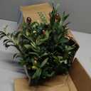 Olive Tree,5FT Faux Trees Indoor with Moss and Planter,Artificial Plants Indoor Faux Olive Tree with Realistic Trunk and Lifelike Fruits, Fake Tree for Home Office Living Room Decor